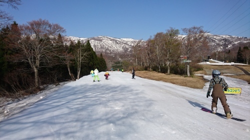 e0015490_10365103.jpg