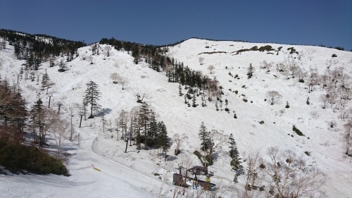e0015490_10383870.jpg