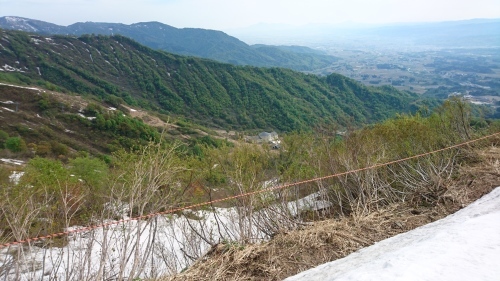 e0015490_12521572.jpg