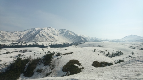 e0015490_18134266.jpg