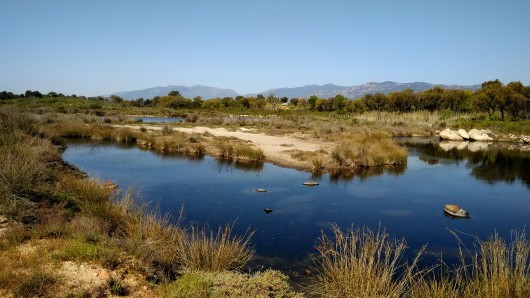 b0107891_04493190.jpg
