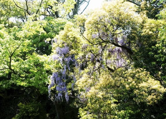 c0122791_11375306.jpg