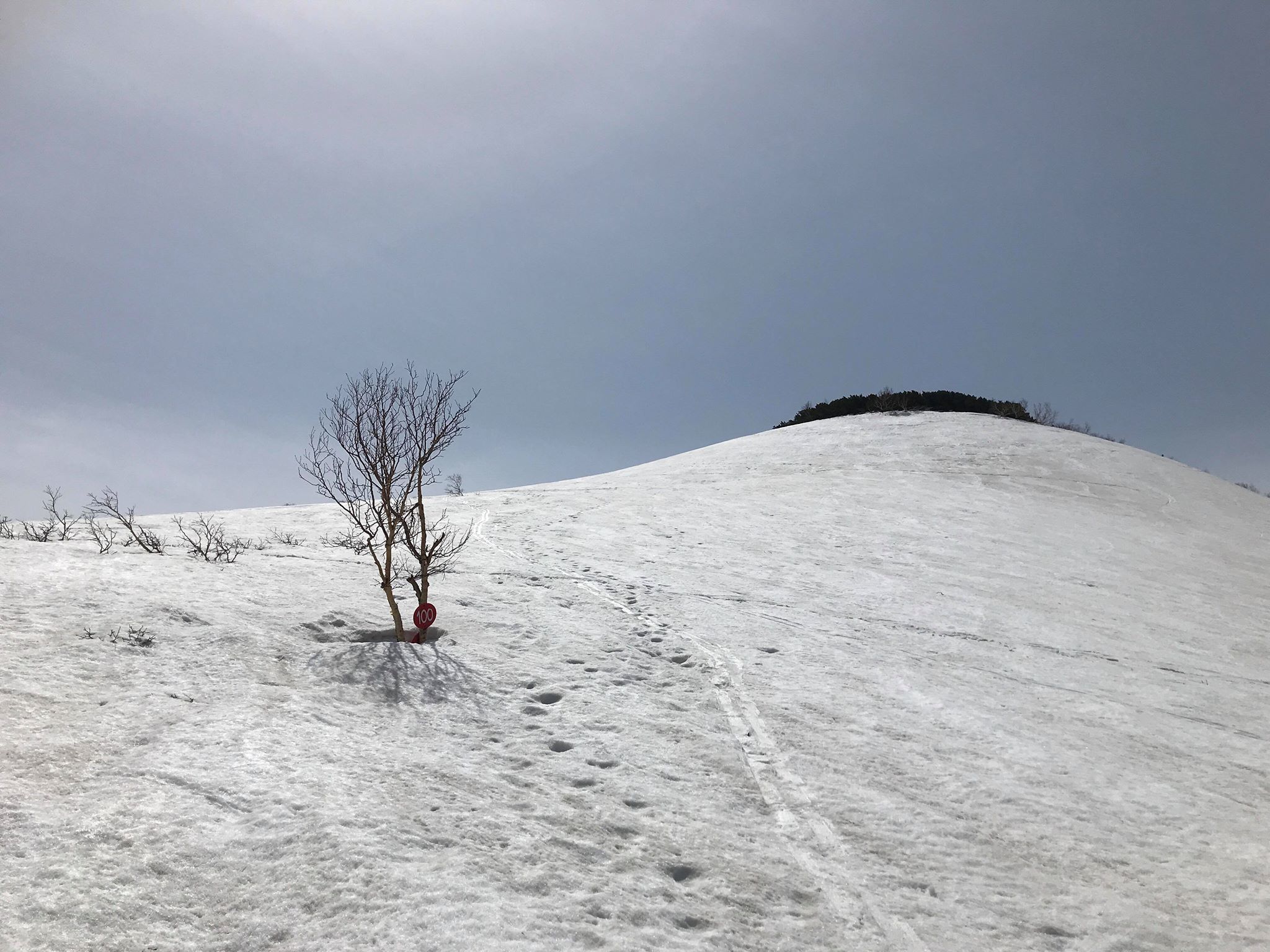 暑寒別岳へ行ってきました!_d0198793_17503343.jpg
