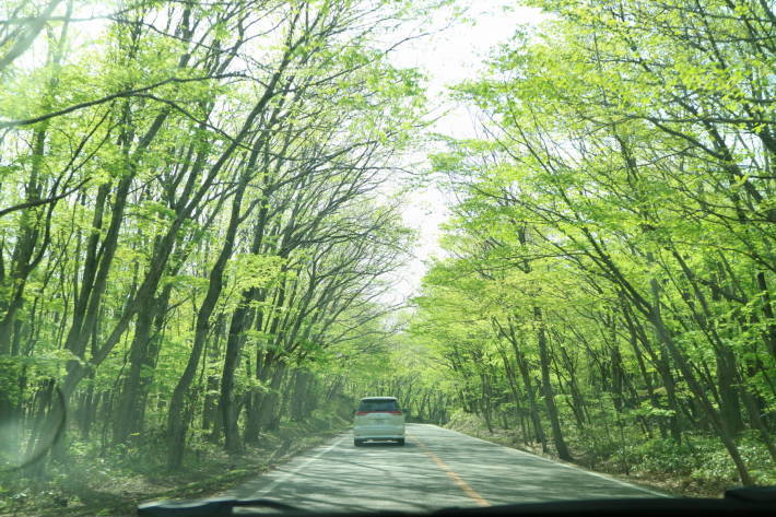 f0075595_20401427.jpg
