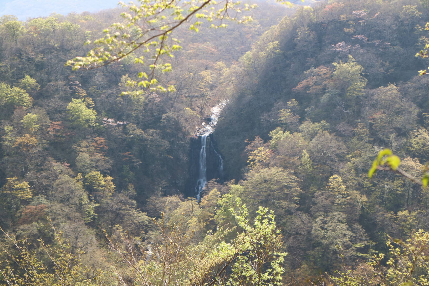 f0075595_20424701.jpg
