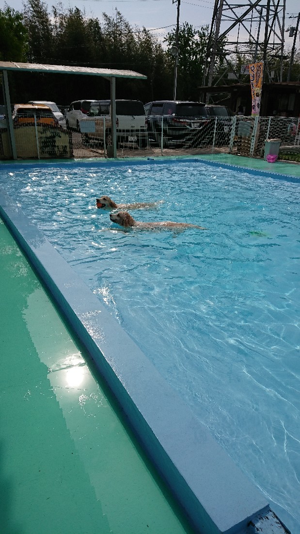 f0109202_17453841.jpg