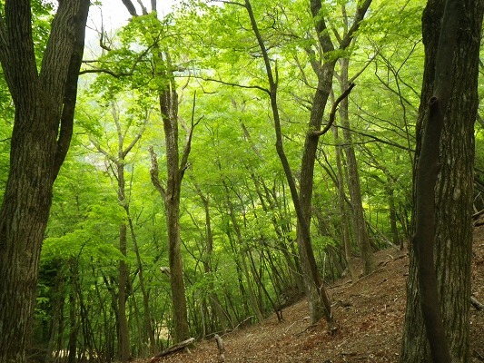 f0187402_07103079.jpg