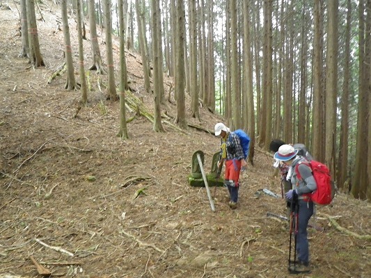 f0187402_07110811.jpg