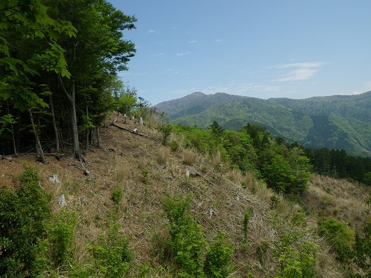 f0187402_07115716.jpg