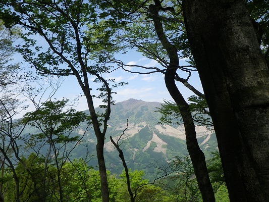 f0187402_07121025.jpg