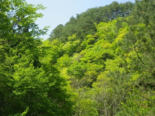 f0187402_07123416.jpg