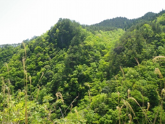 f0187402_07124934.jpg