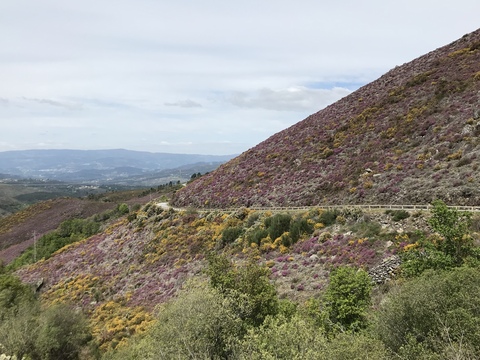 Peneda-Gerês国立公園☆馬も乗ったよ♪_c0212604_6122943.jpg