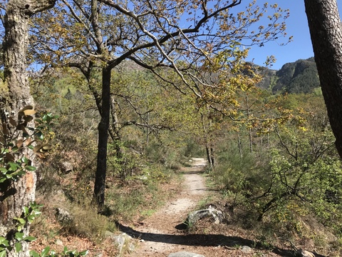 Peneda-Gerês国立公園☆馬も乗ったよ♪_c0212604_625742.jpg