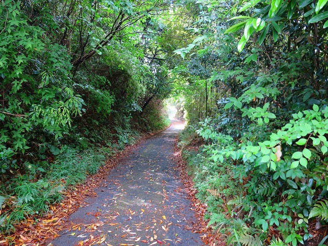 d0360104_20545985.jpg