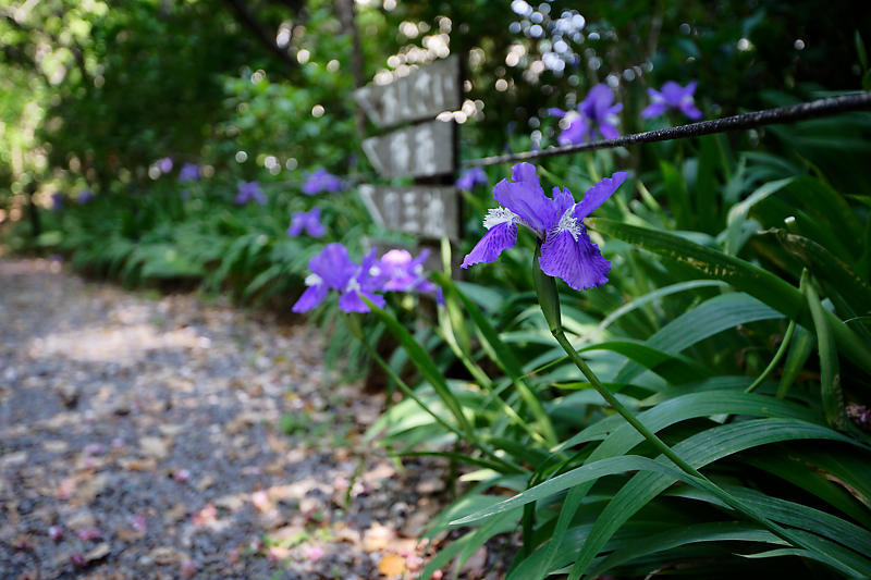 f0032011_18533897.jpg