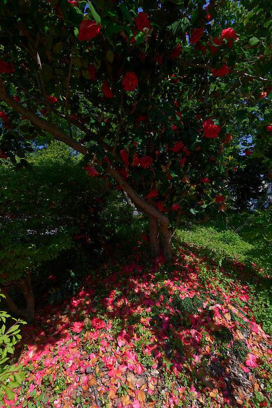f0032011_18534005.jpg