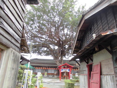 a0019212_11053295.jpeg