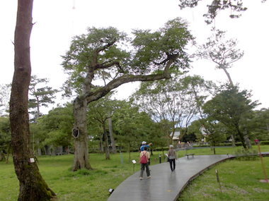 a0019212_22273411.jpeg