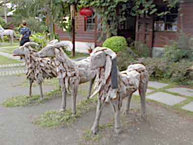 a0019212_22593334.jpg