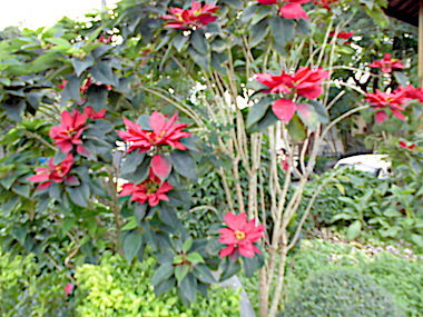 a0019212_23030529.jpeg