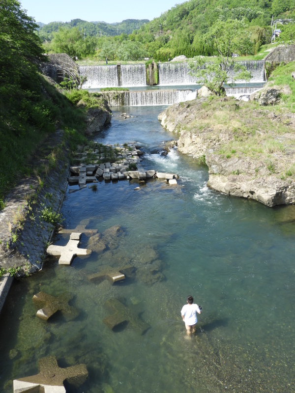 静原の里 鯉のぼりとヒラギノダム_e0048413_19440159.jpg