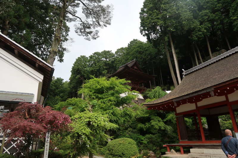 d0103314_22482807.jpg