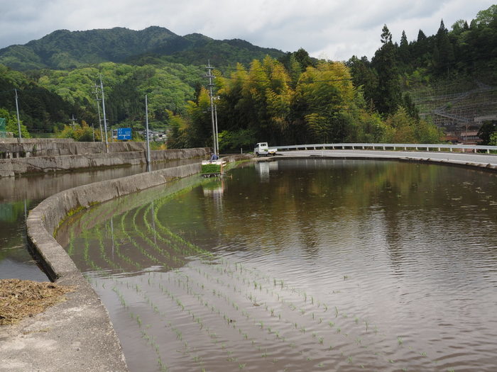 田植え_c0116915_00044355.jpg