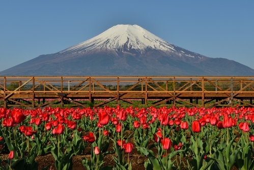 b0369916_10384629.jpg