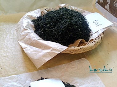 新茶作り:雨岳文庫自然の会_f0205317_07512927.jpg