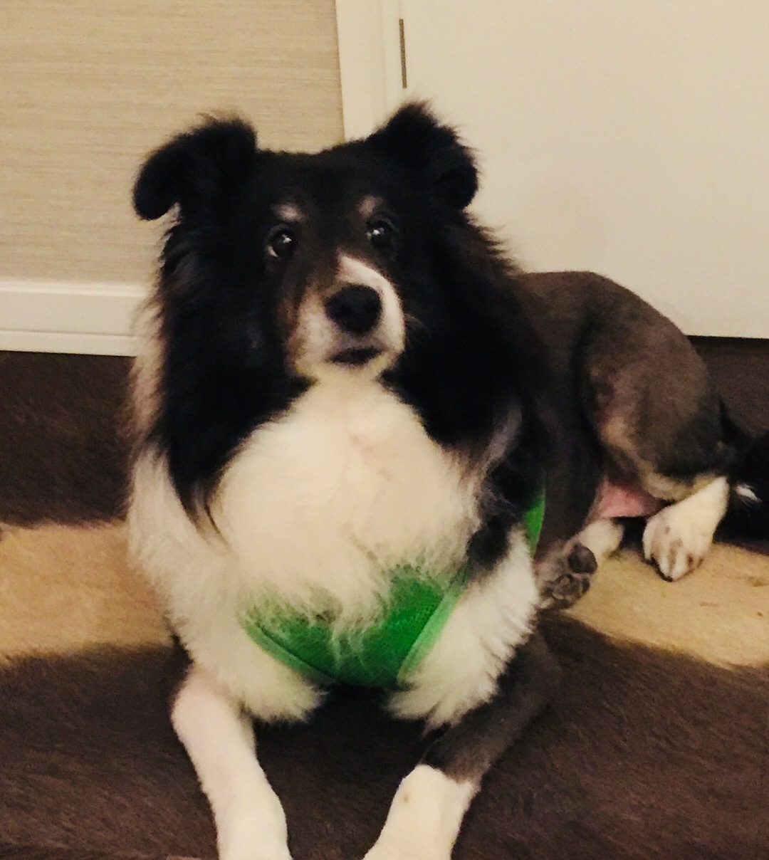 f0215324_12324838.jpeg