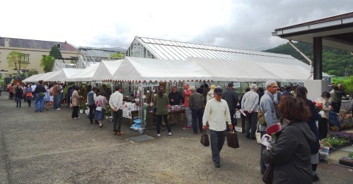 愛媛県花きセンター・花祭り2018_f0213825_08514672.jpg