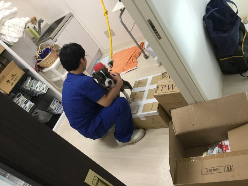 d0365027_21062091.jpeg