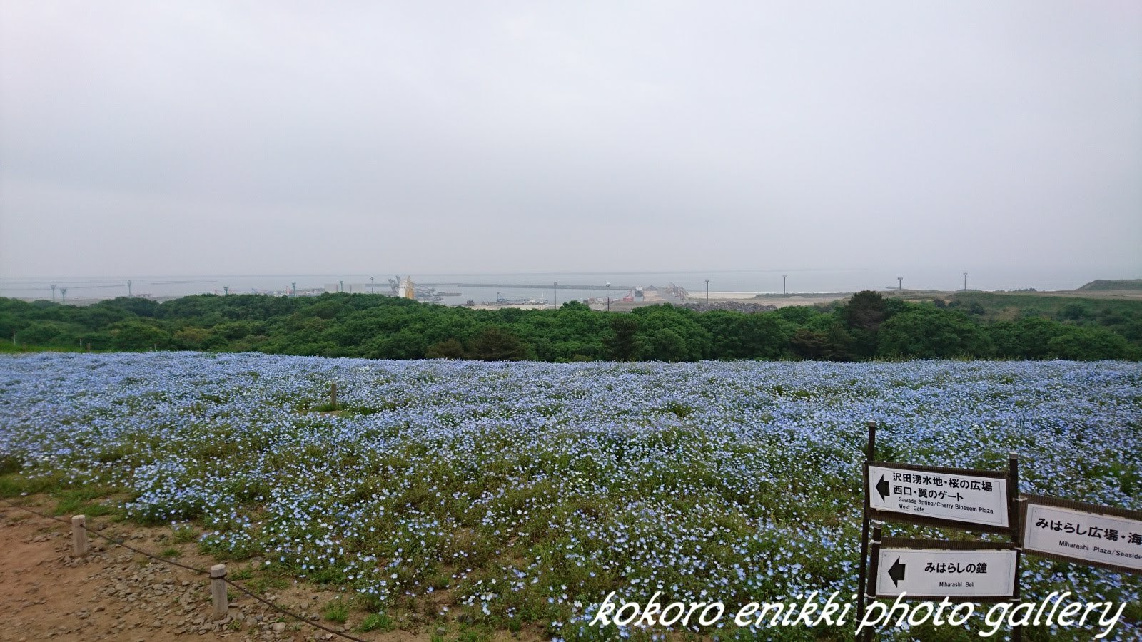 d0372528_15471934.jpg