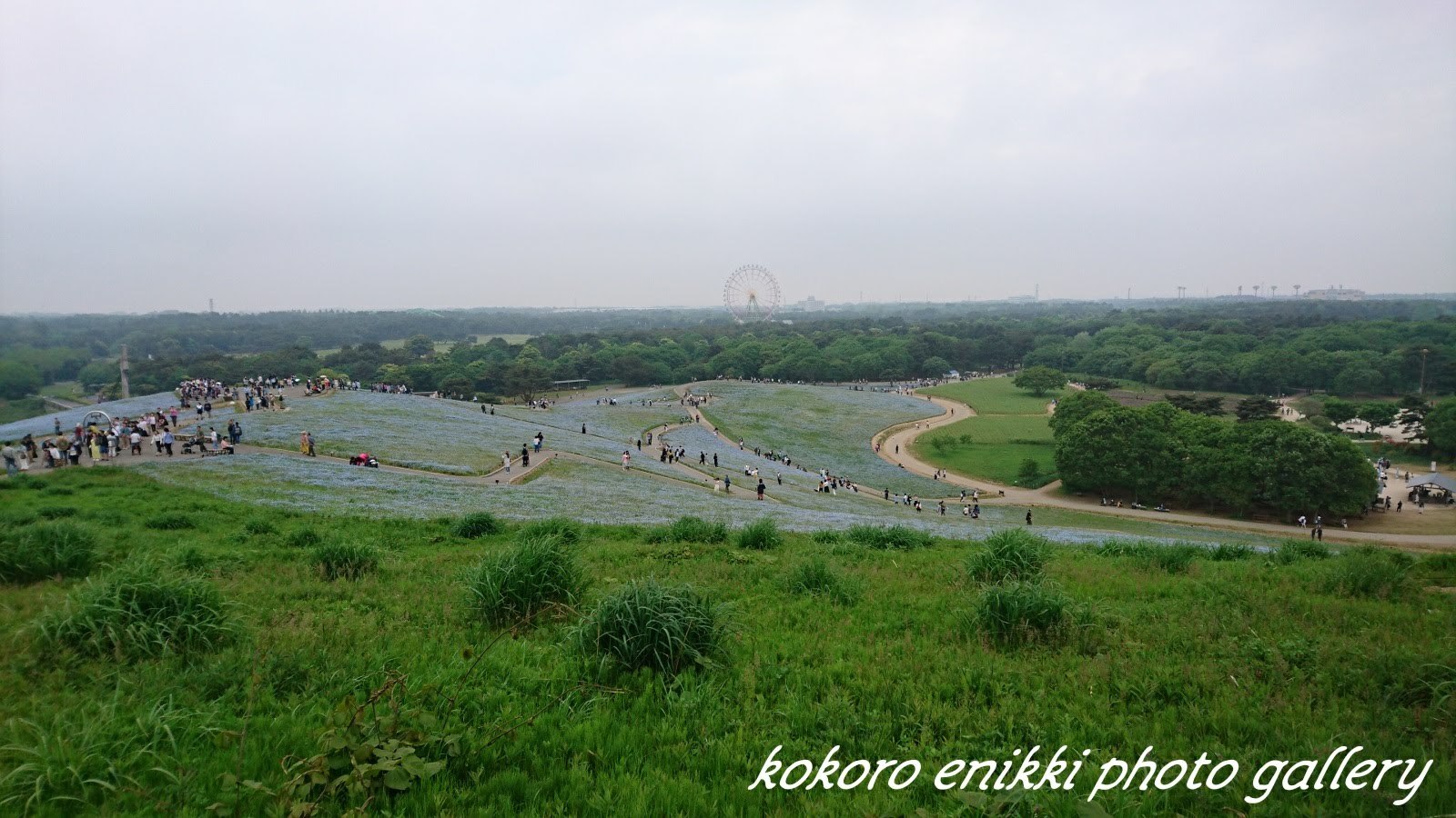 d0372528_15592403.jpg