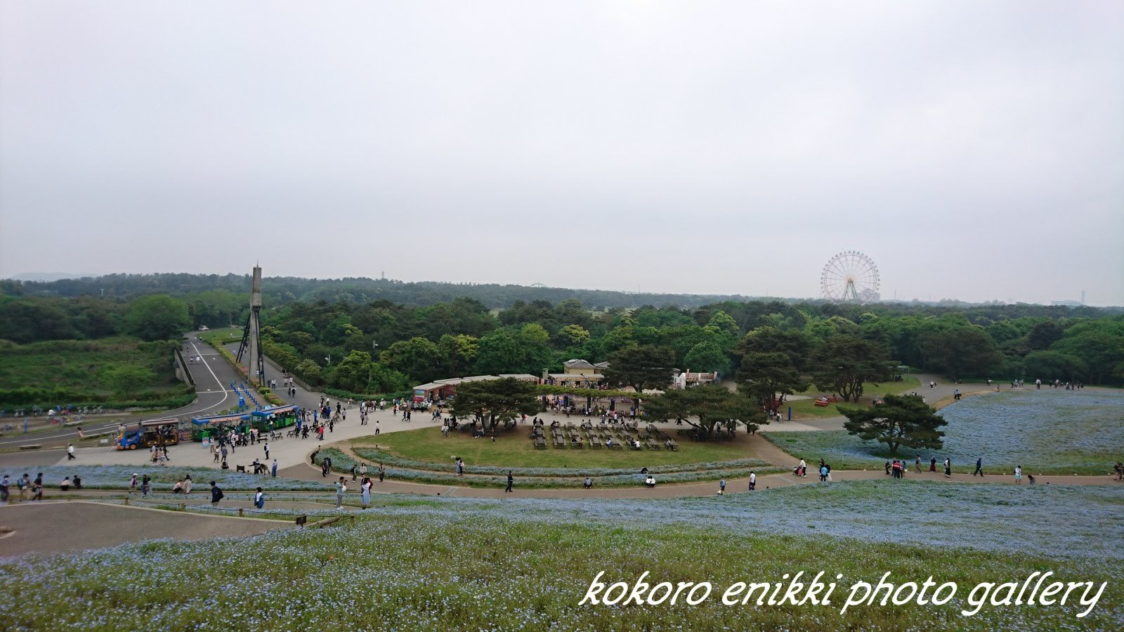 d0372528_16013540.jpg