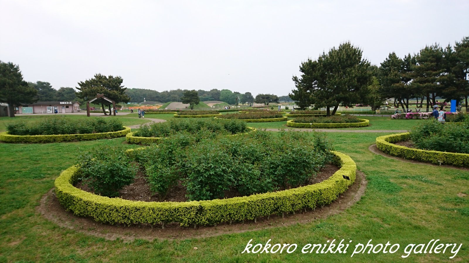 d0372528_16084709.jpg