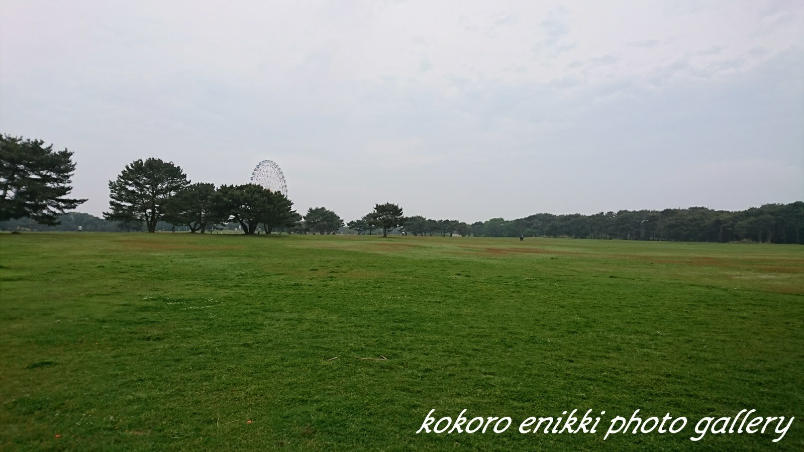 d0372528_16100475.jpg