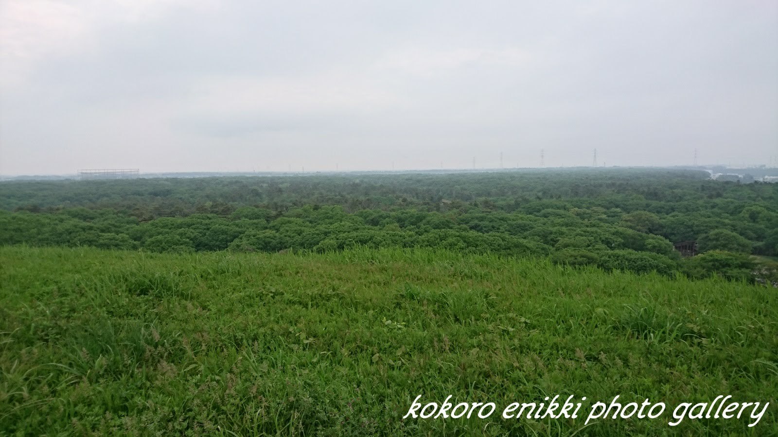 d0372528_22291472.jpg