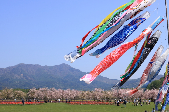 【花の都公園】_f0348831_01462511.jpg