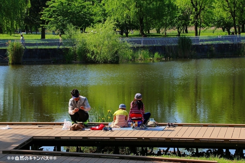 新緑の舎人公園までサイクリング(^^♪_e0052135_12070523.jpg