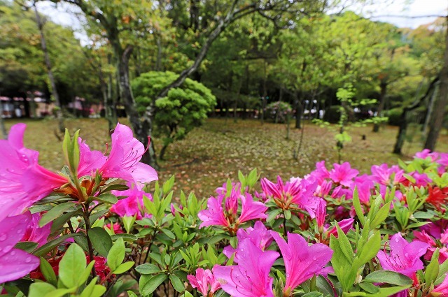 a0242438_19005323.jpg