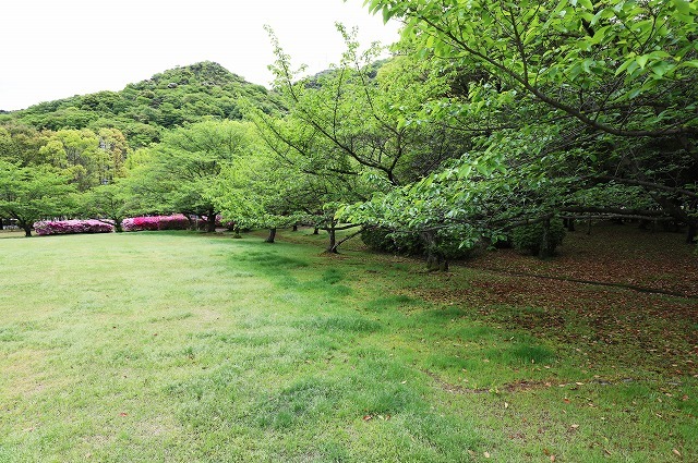 a0242438_19005957.jpg