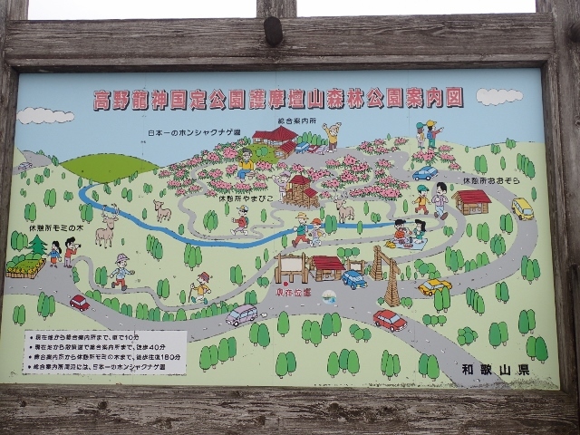 d0378939_07093685.jpg