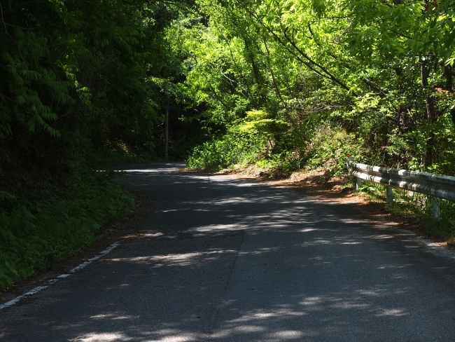 c0281841_12311784.jpg