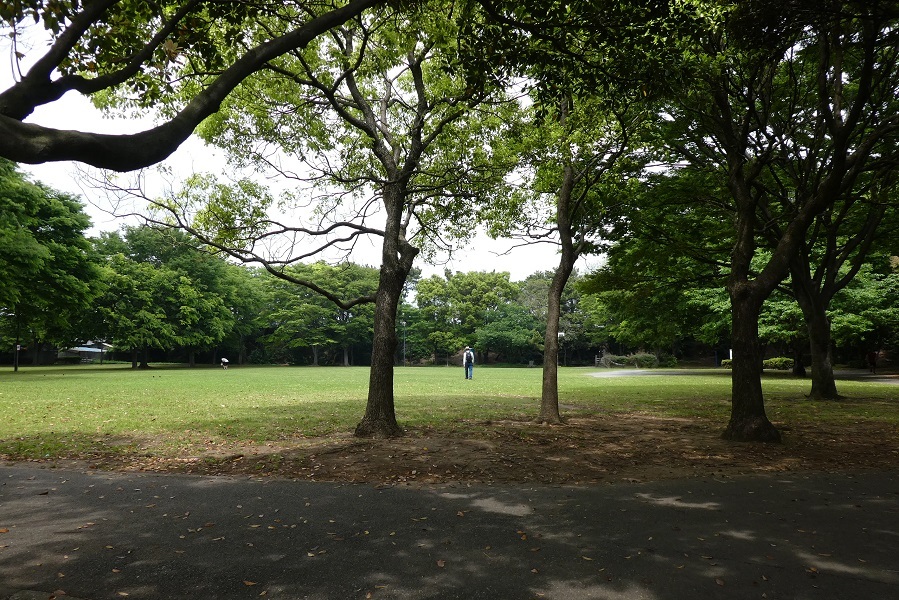 d0288144_14175249.jpg
