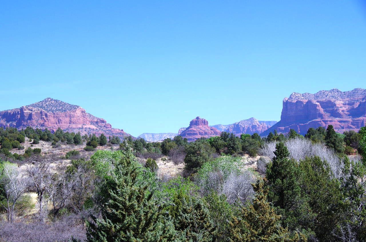 c0011649_00105051.jpg