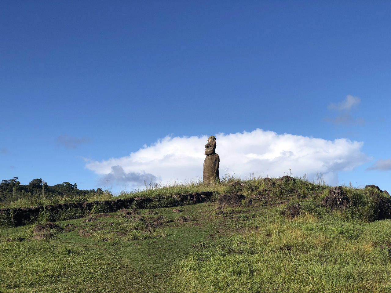 c0011649_01333504.jpg