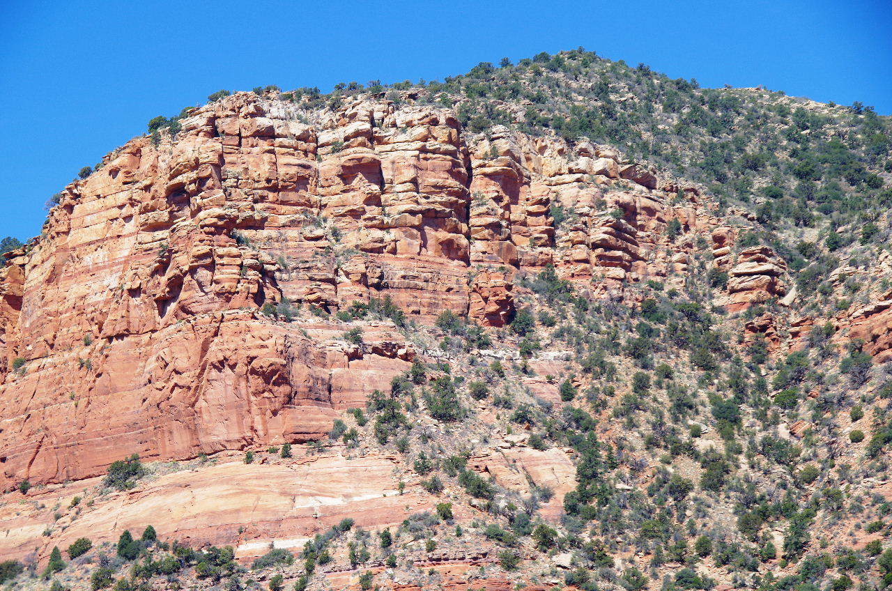 c0011649_23244574.jpg