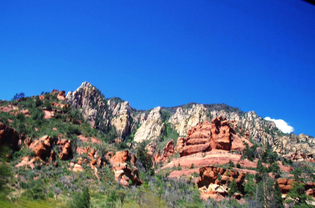 c0011649_23254652.jpg